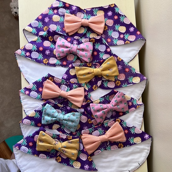 BOWTIE COLLARS - Picture 6 of 6